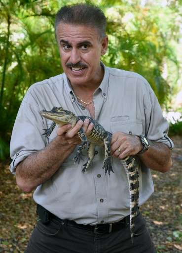 Zoo Miami communications director Ron Magill holds a juvenile American Alligator
