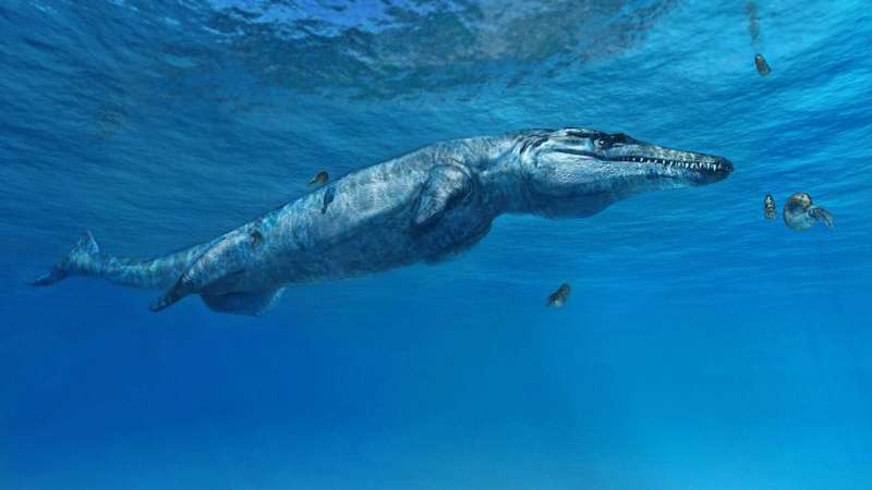 Monstrous crocodile fossil points to early rise of ancient reptiles