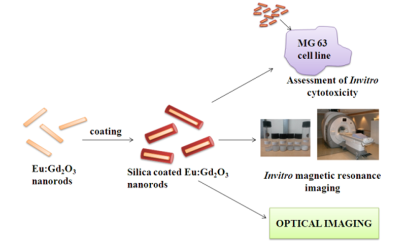 Researchers developed nanoparticle based contrast agent for dual modal imaging of cancer