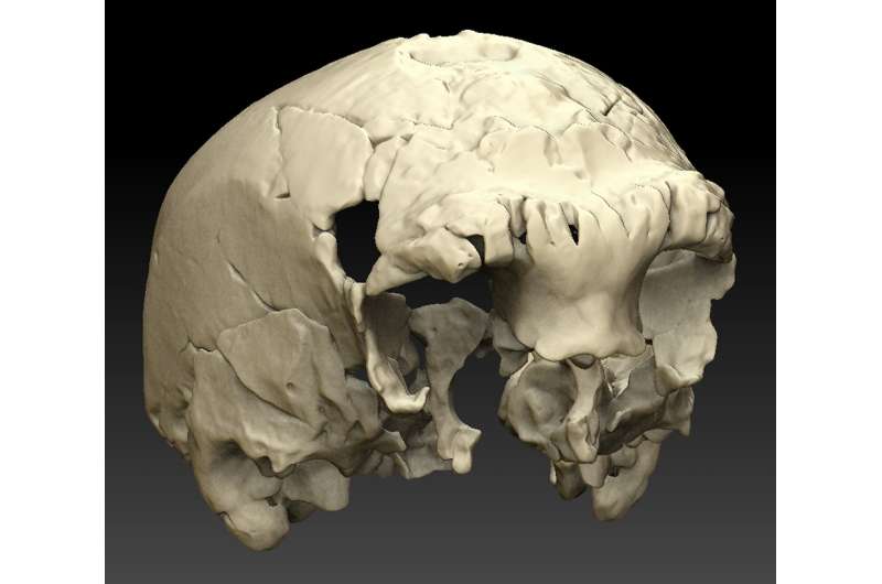 400,000-year-old fossil human cranium is oldest ever found in Portugal