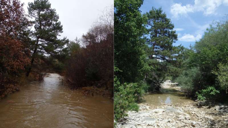 Advancing the science and management of European intermittent rivers and ephemeral streams
