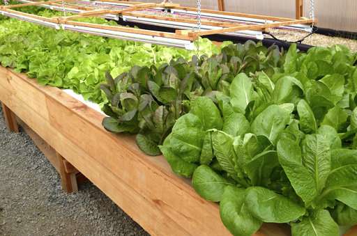 Alaska counters lack of fresh veggies with greenhouse guide