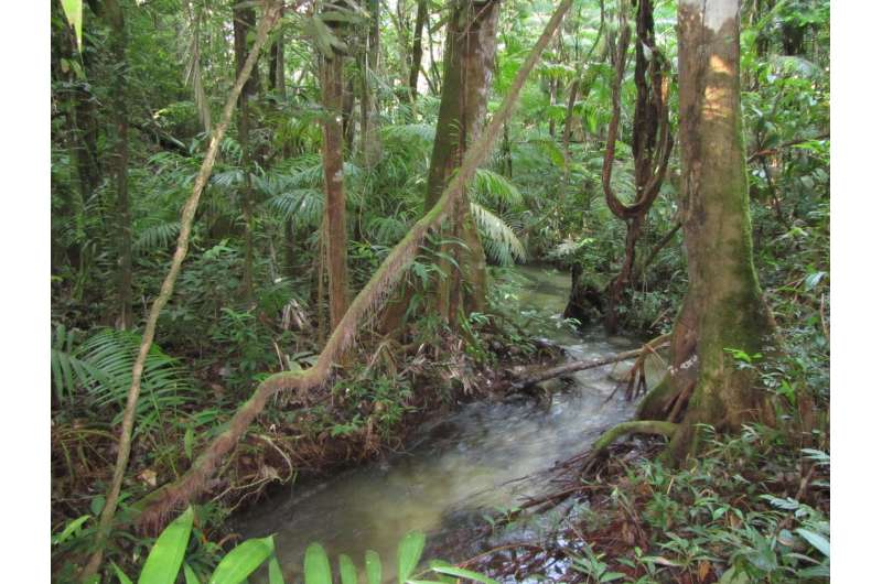 Amazonian streams found teeming with fish species are lacking protection