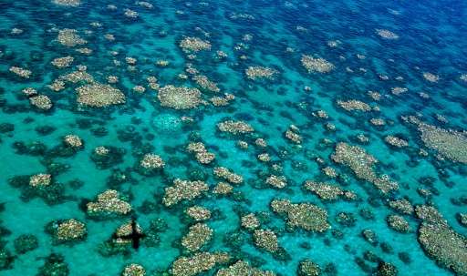 An aerial view of bleaching in the Cairns-Townsville region of Australia's Great Barrier Reef
