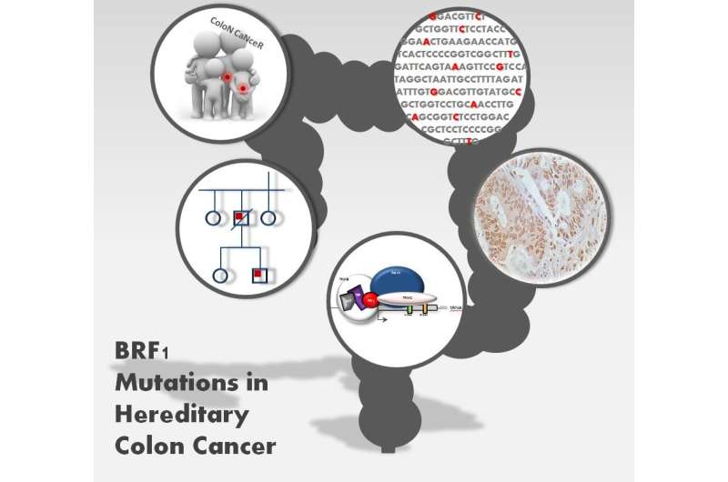 A new genetic marker accounts for up to 1.4 percent of cases of hereditary colon cancer