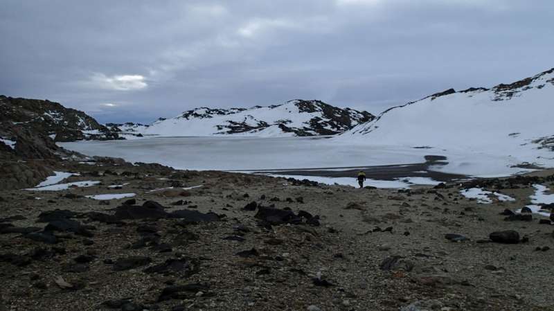 Antarctic salt-loving microbes provide insights into evolution of viruses