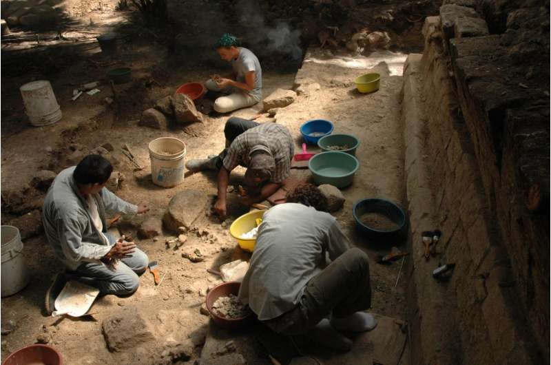 Archaeologists uncover new clues to Maya collapse