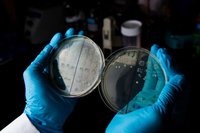 A scientist's quest to eradicate one of the most common—and potentially deadly—infections