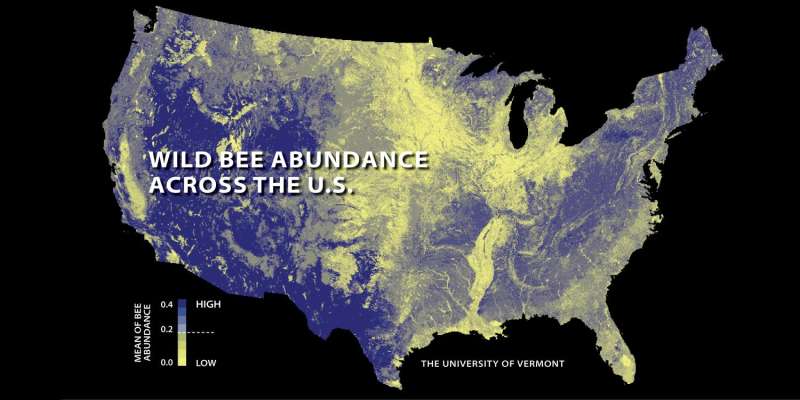 Bee decline threatens US crop production