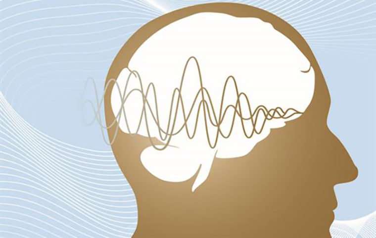 Biomedical engineer finds how brain encodes sounds