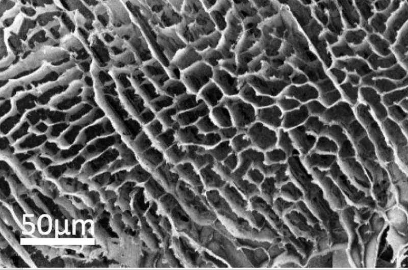 Boron nitride foam soaks up carbon dioxide