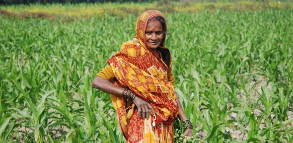 Changing the face of Indian farming