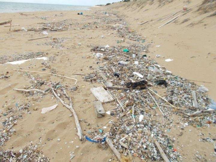 Cleaning marine litter in the Mediterranean and the Baltic Sea