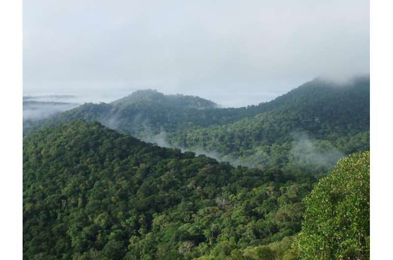 Climate policies alone will not save Earth's most diverse tropical forests