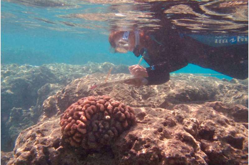 Corals in peril at a popular Hawaiian tourist destination due to global climate change