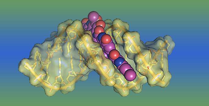 Deciphering potent DNA toxin’s secrets