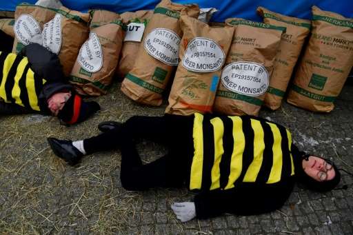 Demonstrators dressed as bees stage 'die-in' as a protest against chemicals giants Bayer and Monsanto