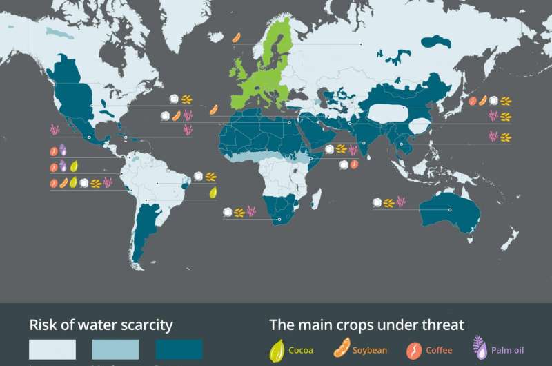 Developing world drought threat to EU rice and cotton intensifies research efforts