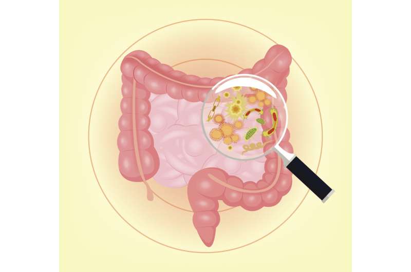 Diabetes linked to bacteria invading the colon, study finds
