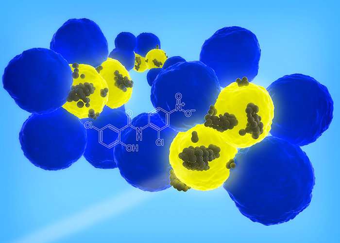 Drug-delivering nanoparticles seek and destroy elusive cancer stem cells