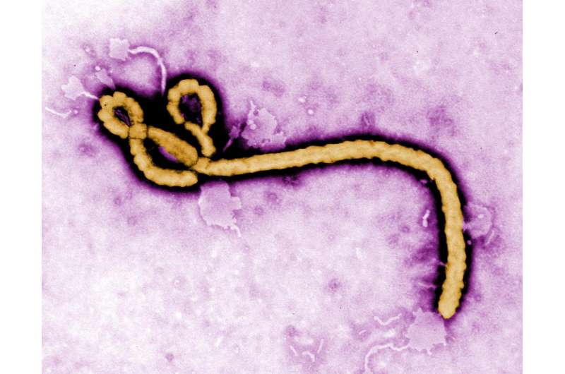Ebola: Lives to be saved with new management approach