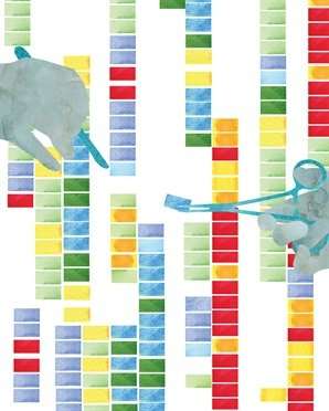 Exome sequencing allows scientists to find the mutations responsible for an array of ailments