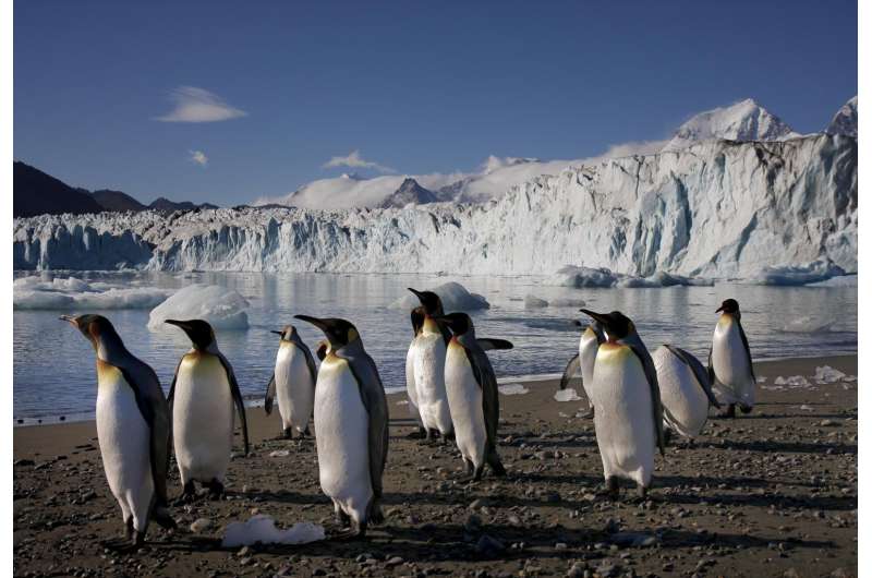 Extensive ice cap once covered sub-antarctic island of South Georgia