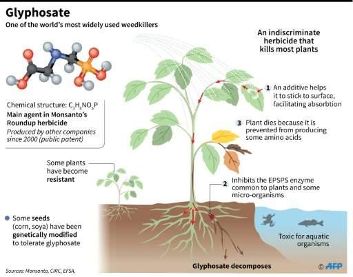 Factfile on the controversial herbicide glyphosate