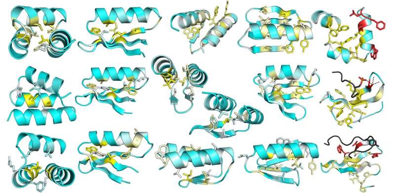 Feedback from thousands of designs could transform protein engineering