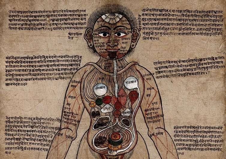 From Ayurveda to biomedicine—understanding the human body