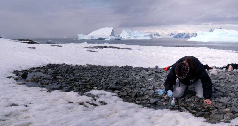 Geoscientists compare micro-organisms in the polar regions