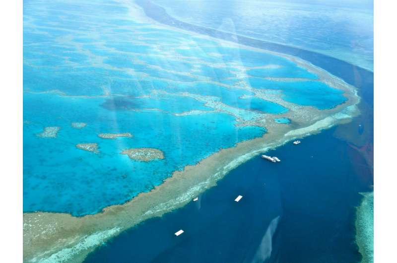 Global 'community' rallies for the Reef
