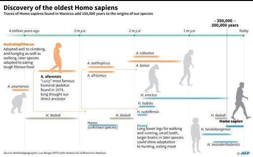 Graphic showing timeline relating to the discovery of the oldest Homo sapiens