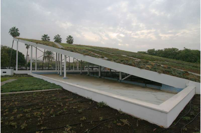 Green rooves to reduce the effects of climate change