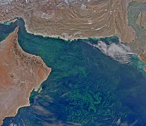 Growing algae bloom in Arabian Sea tied to climate change
