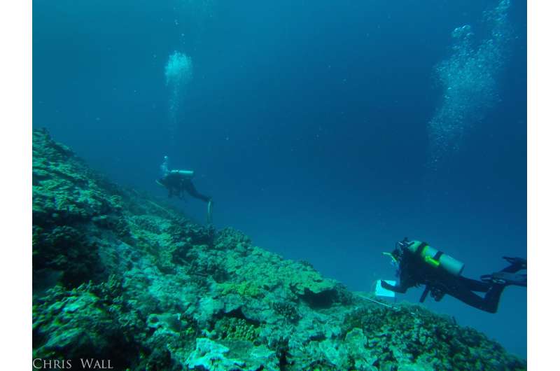 Hawai'i researchers receive funds to forecast coral disease across ...
