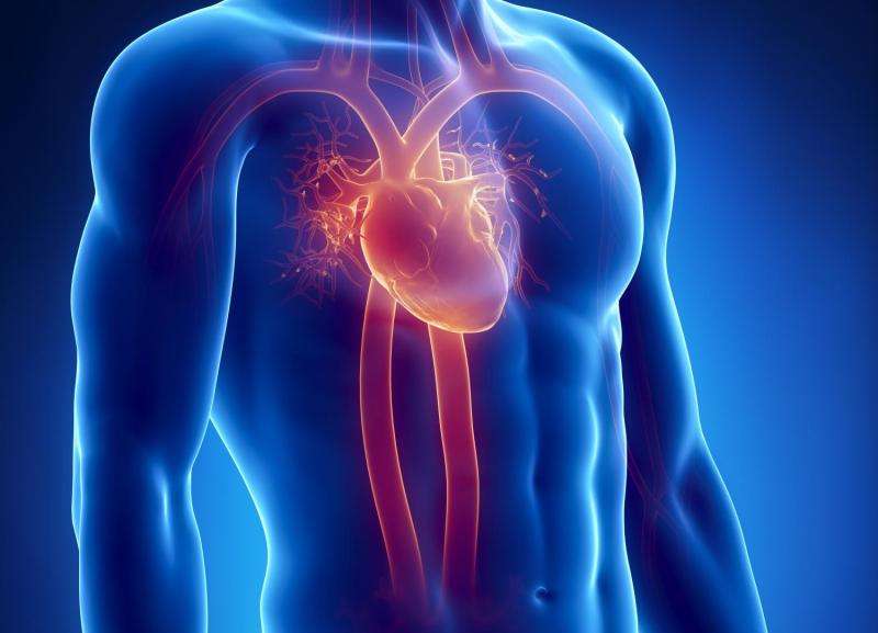 Heart attack shown to be "systemic condition"