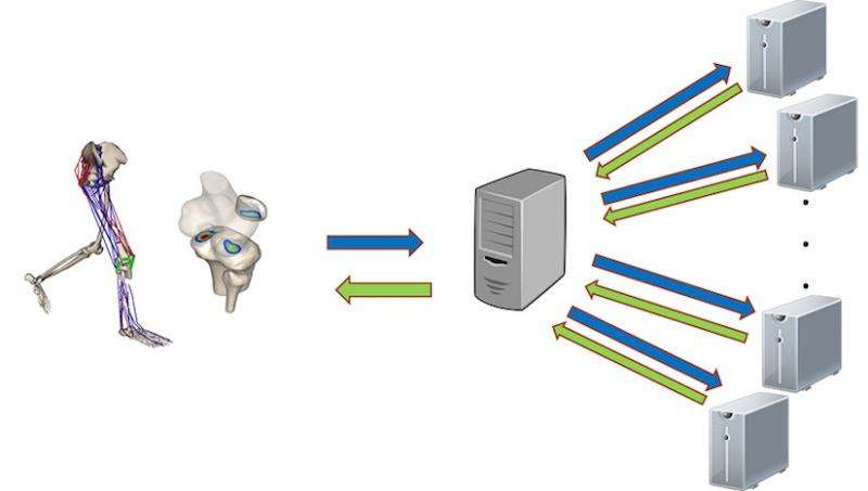 High-throughput computing plays pivotal role in knee biomechanics research