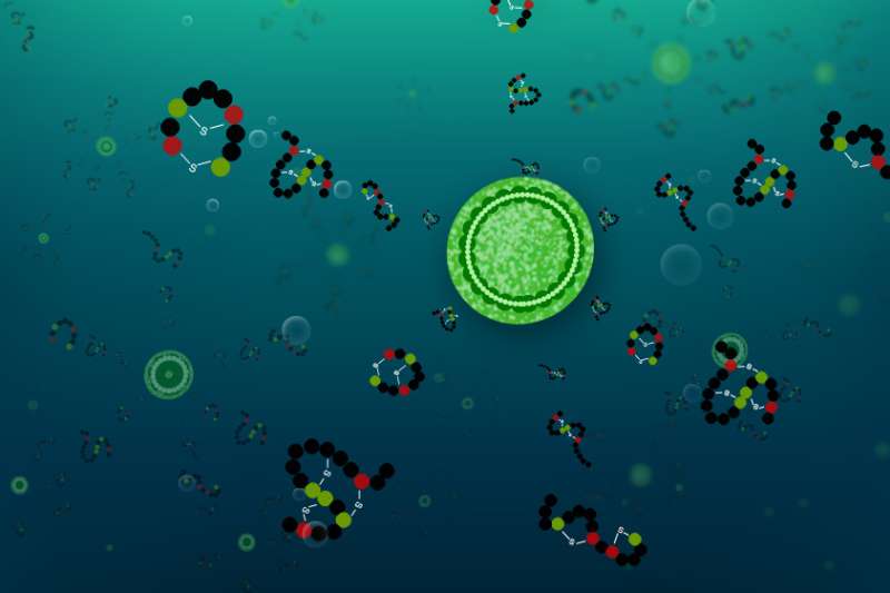 In marine bacteria, evolution of new specialized molecules follows a previously unknown path