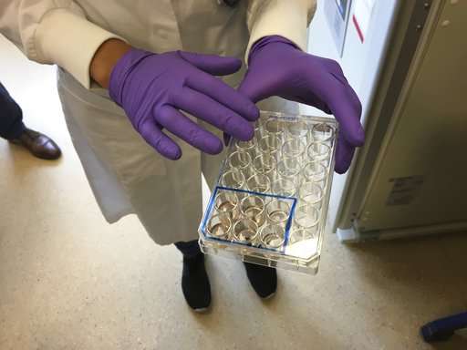 Lab-made "mini organs" helping doctors treat cystic fibrosis