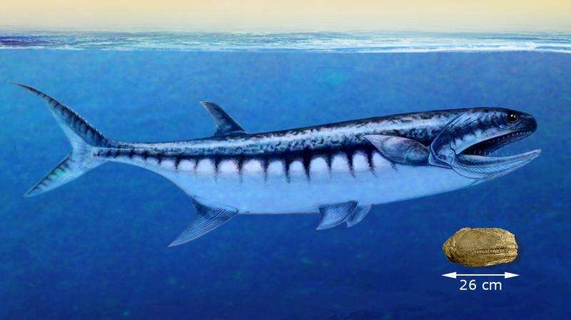 Large-mouthed fish was top predator after mass extinction