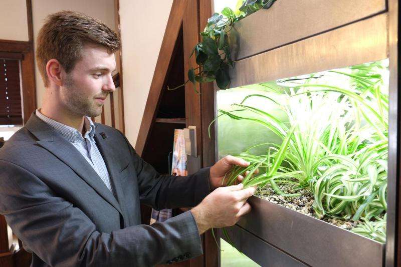 Living ‘BioWall’ of plants could clean household air, lower energy bills
