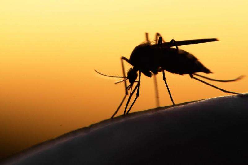 Mathematical models accurately predict real-life malaria outbreaks