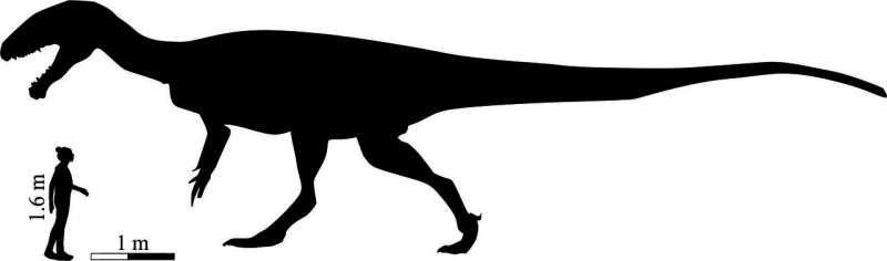 'Mega-carnivore' dinosaur roamed southern Africa 200 million years ago