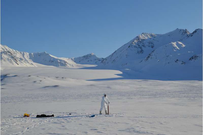 Microbial colonizers of Arctic soils are sensitive to future climate change