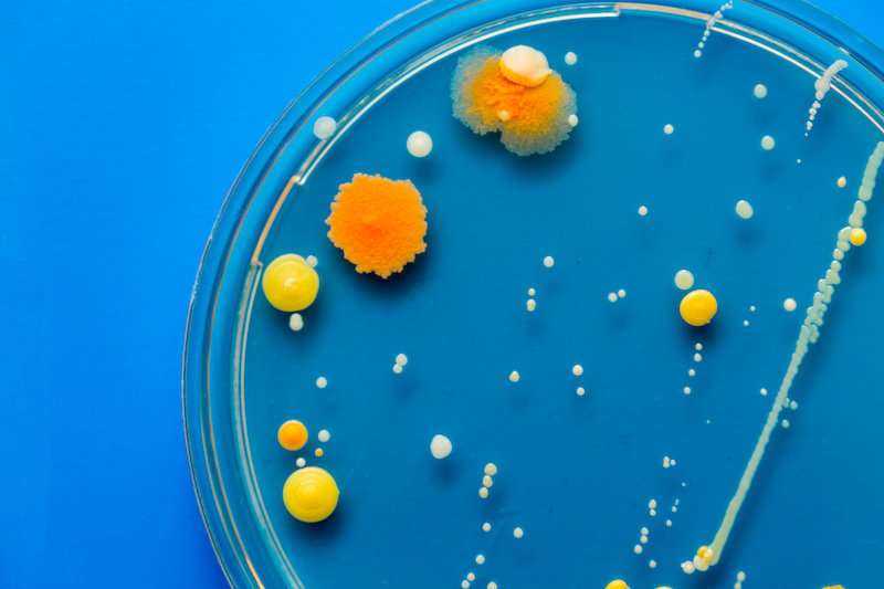 Microbial murder mystery solved