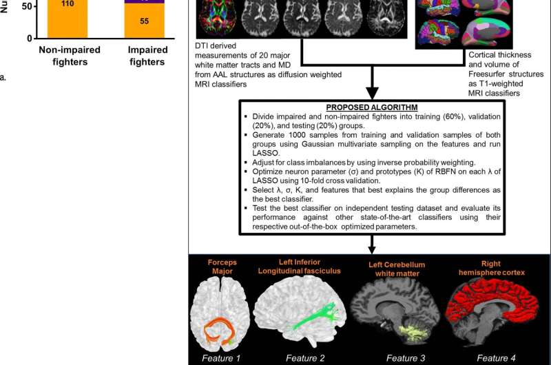 MRI may help predict cognitive impairment in professional fighters