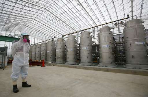 Multiple challenges remain to Fukushima nuclear cleanup