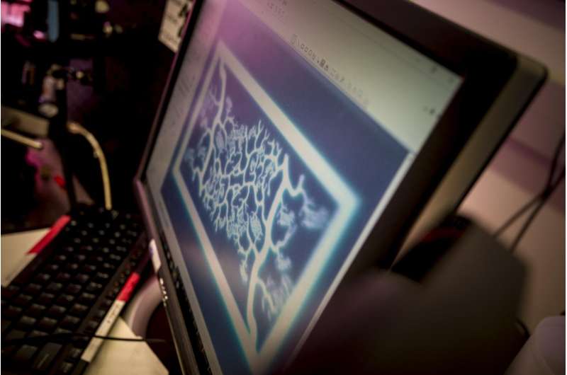 Nanoengineers 3-D print biomimetic blood vessel networks