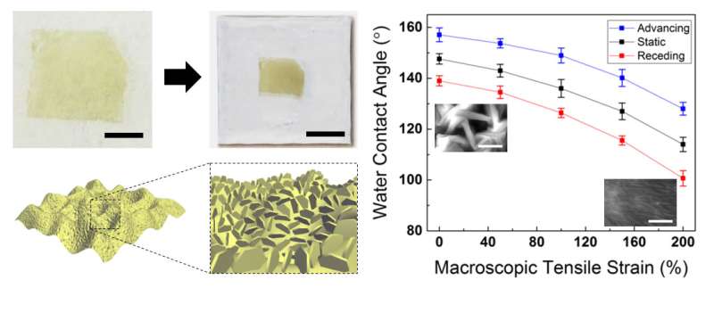 Nano-level lubricant tuning improves material for electronic devices and surface coatings